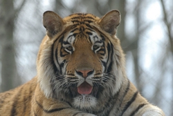 /i//03302007.jpg