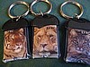 LED Keyring Tri-Pack