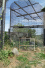 Great Cats enclosure